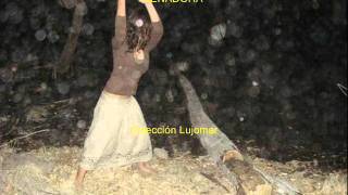 Video thumbnail of "Garzón y Collazos - Leñadora - Colección Lujomar.wmv"