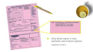 Comment compléter votre demande d'immatriculation (document rose)?