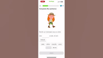 Let’s learn French with Duolingo #beginner section 5: adventurer #language #france #français