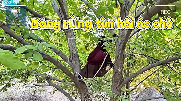 Một mình vượt núi đến thác nước tìm thuốc – hành trình đầy hiểm nguy của Kulosom 🏞️🍃