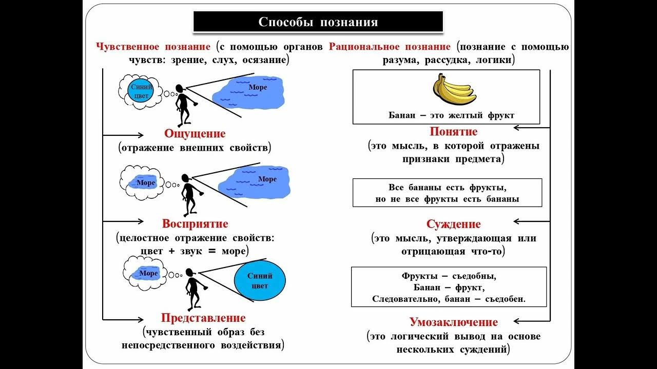 Чувственное логическое познание