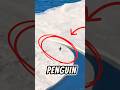 Penguin hurrying for safety animals shorts