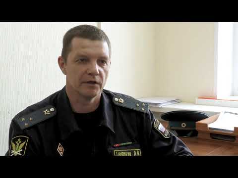 ФССП: Электронные сервисы помогут узнать о ходе исполнительного производства