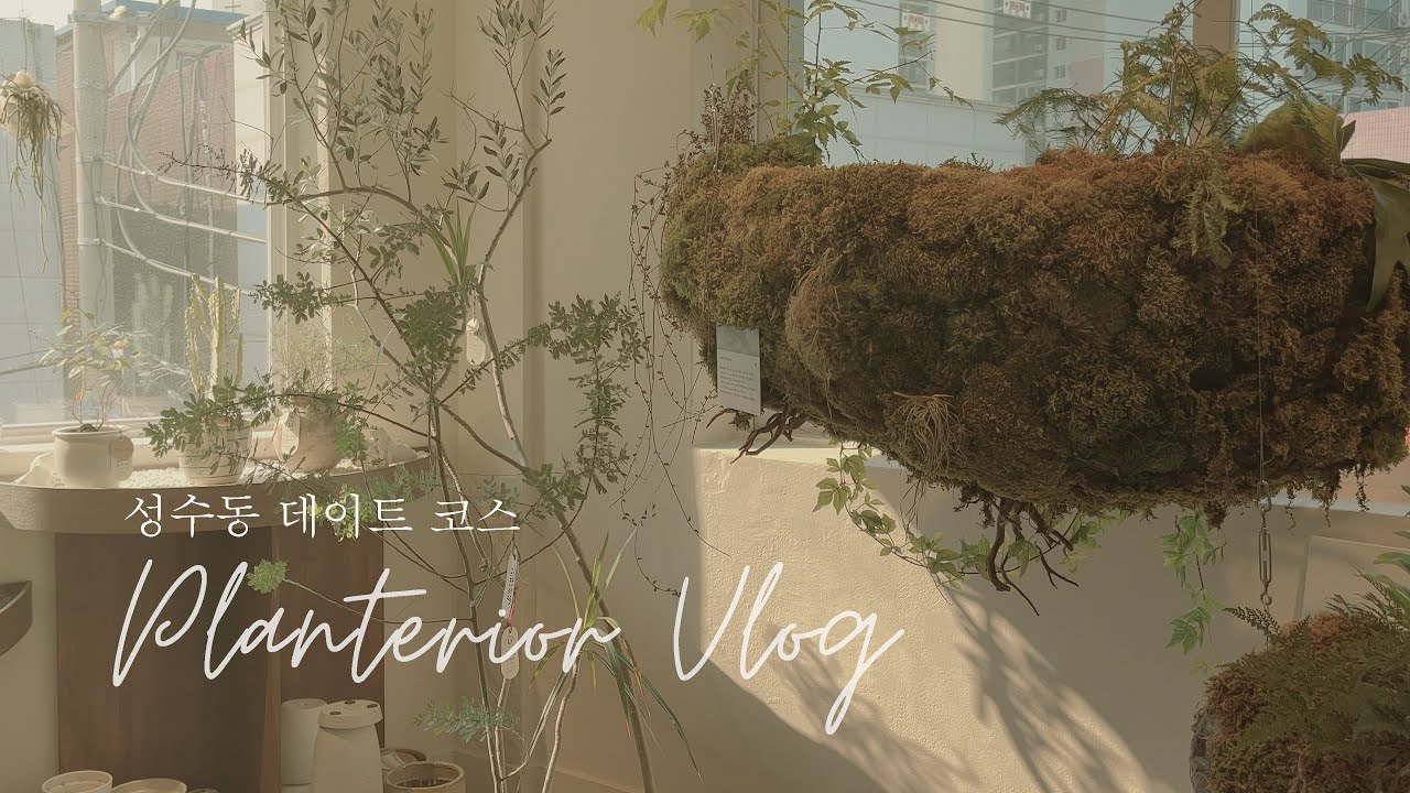 Экскурсия по коллекции комнатных растений