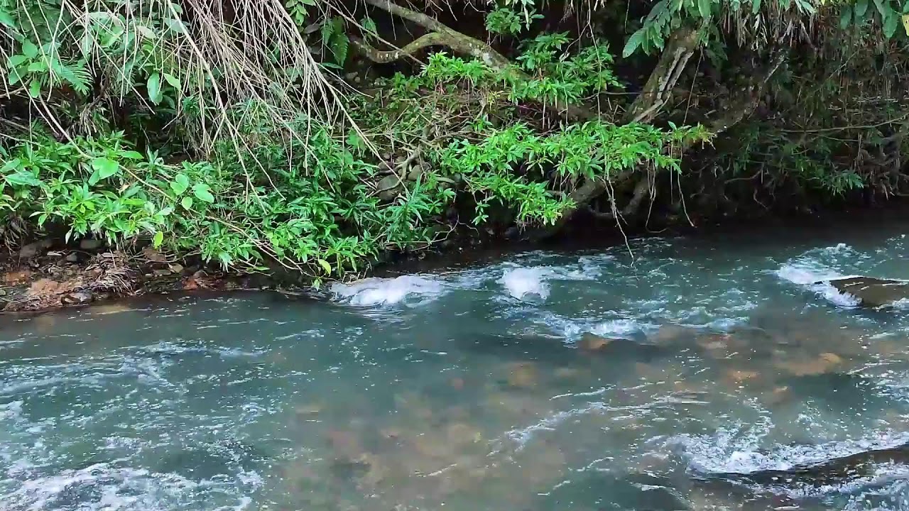 Relieve Stress Quickly With Calm River Sounds Flowing Through A Quiet relieve-stress-quickly-with-calm-river-sounds-flowing-through-a-quiet