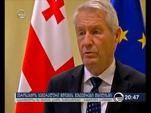 ევროსაბჭოს  გენერალური მდივნის შეხვედრები