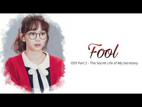 peppertones---fool-(ost-the-secret-life-of-my-secretary-part-2)-|-lyrics