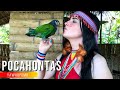 Pocahontas  colors of the wind  yawarpuma  native music  instrumental  flute