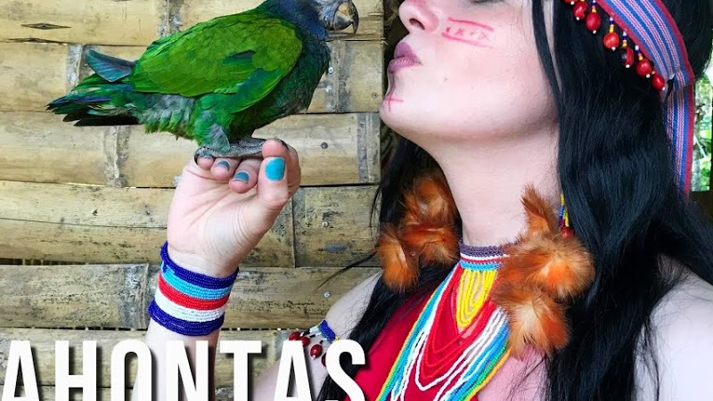 Pocahontas | Colors Of The Wind | Yawarpuma | Native Music | Instrumental | Flute