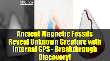 Ancient Magnetic Fossils Reveal Unknown Creature with Internal GPS - Breakthrough Discovery!