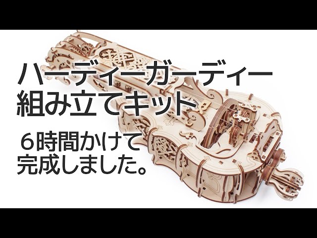 I finished assembling the hurdy-gurdy kit in 6 hours