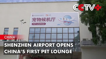 Shenzhen Airport Opens China’s First Pet Lounge