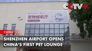 Shenzhen Airport Opens China’s First Pet Lounge