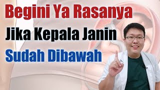 Tanda Kepala Janin Sudah Dibawah - Tanyakan Dokter