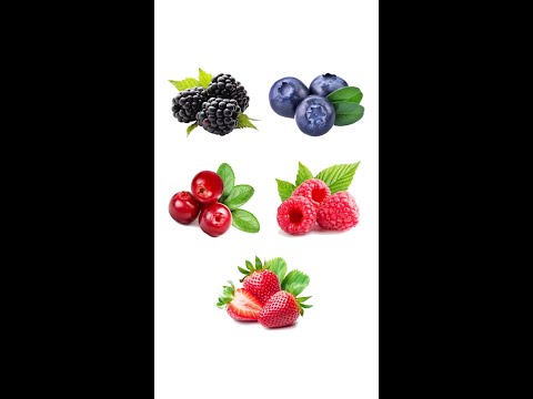 וִידֵאוֹ: מולברי - תות עם פירות יער טעימים ובריאים