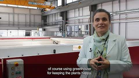 How neutron imaging can help us get to #NetZero: Genoveva Burca, STFC