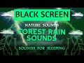 Rainforest Nature Sounds Forest Rain Sounds for Sleeping | Black Screen