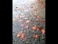 そのあとは雨の中