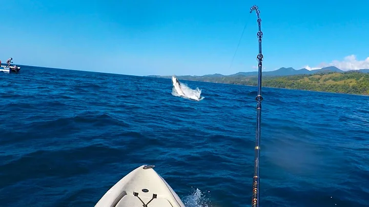 Kayak Fishing: HUGE Sailfish & Snapper Offshore | #FieldTrips Panama | Field Trips with Robert Field