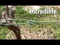 Absolutely the best and easiest camping knot taut line hitch