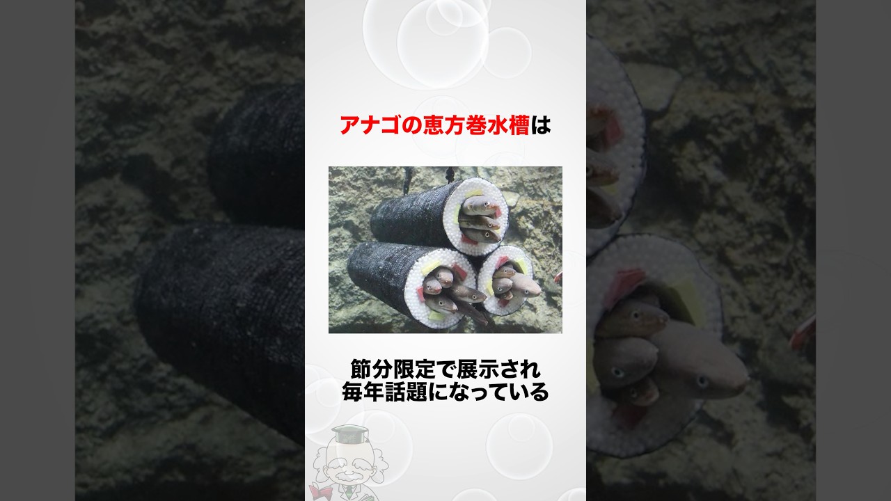 【節分】アナゴの水槽に関する雑学　#shorts