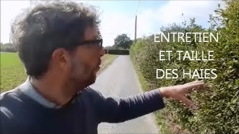 LES HAIES : Leur utilité et leur entretien
