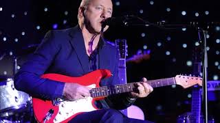 The Klone Orchestra  Sultans Of Swing