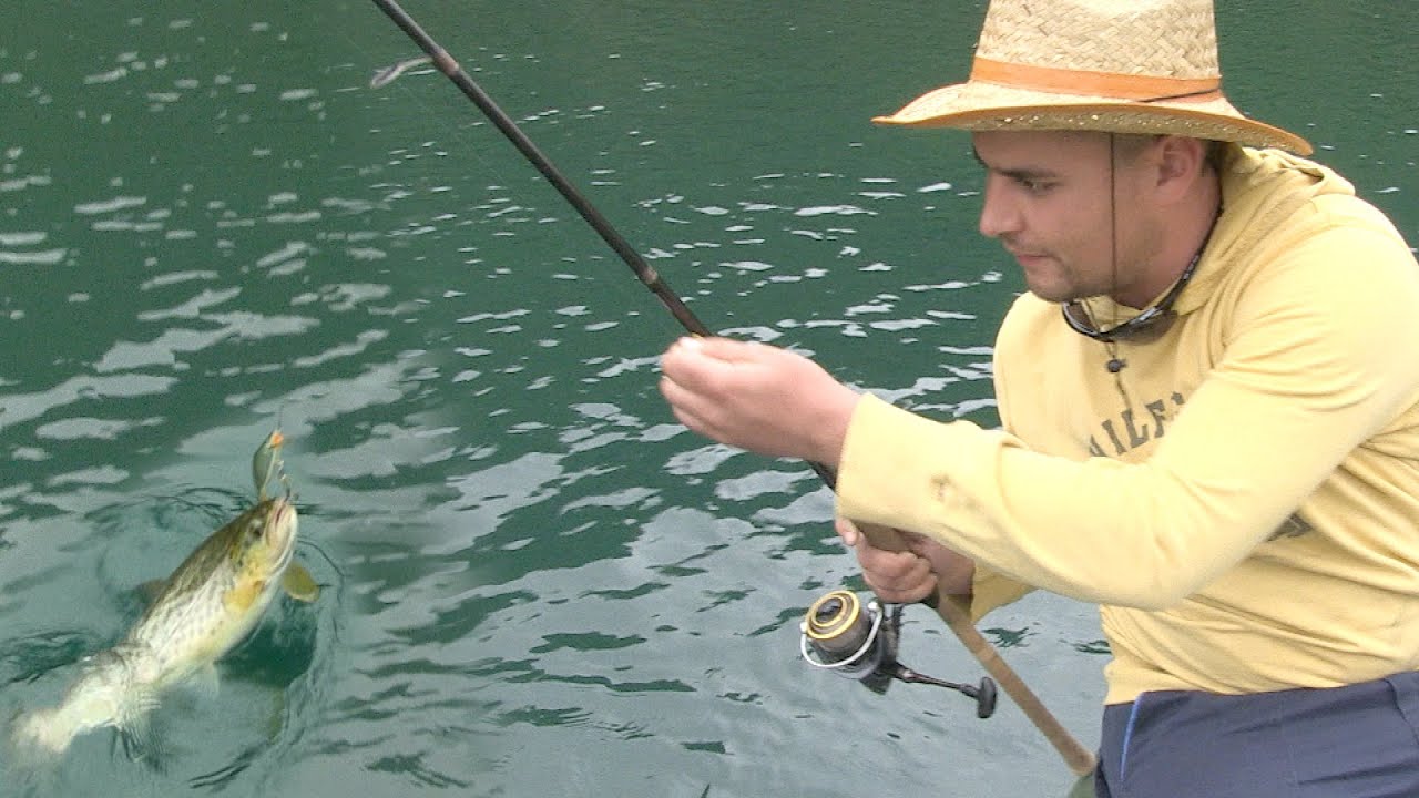 Pecanje pastrmke na varalicu na reci Trebišnjici | Fishing trout FULL VIDEO