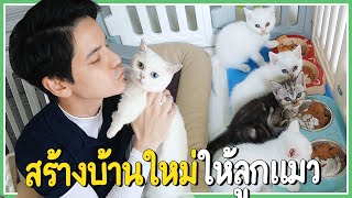 ปลดล็อคสกิน! บ้านลูกแมวหลังใหม่ใหญ่กว่าเดิม!!! | ติดเต๋า