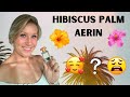 Crash test hibiscus palm aerin 