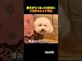 科学では測れないものを、私たちは愛と呼ぶ
