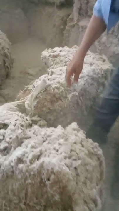 Хлопковый пух - YouTube