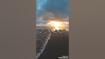 يوم نحشر المتقين الى الرحمن وفدا القرآن الكريم حالات واتساب شريف مصطفى
