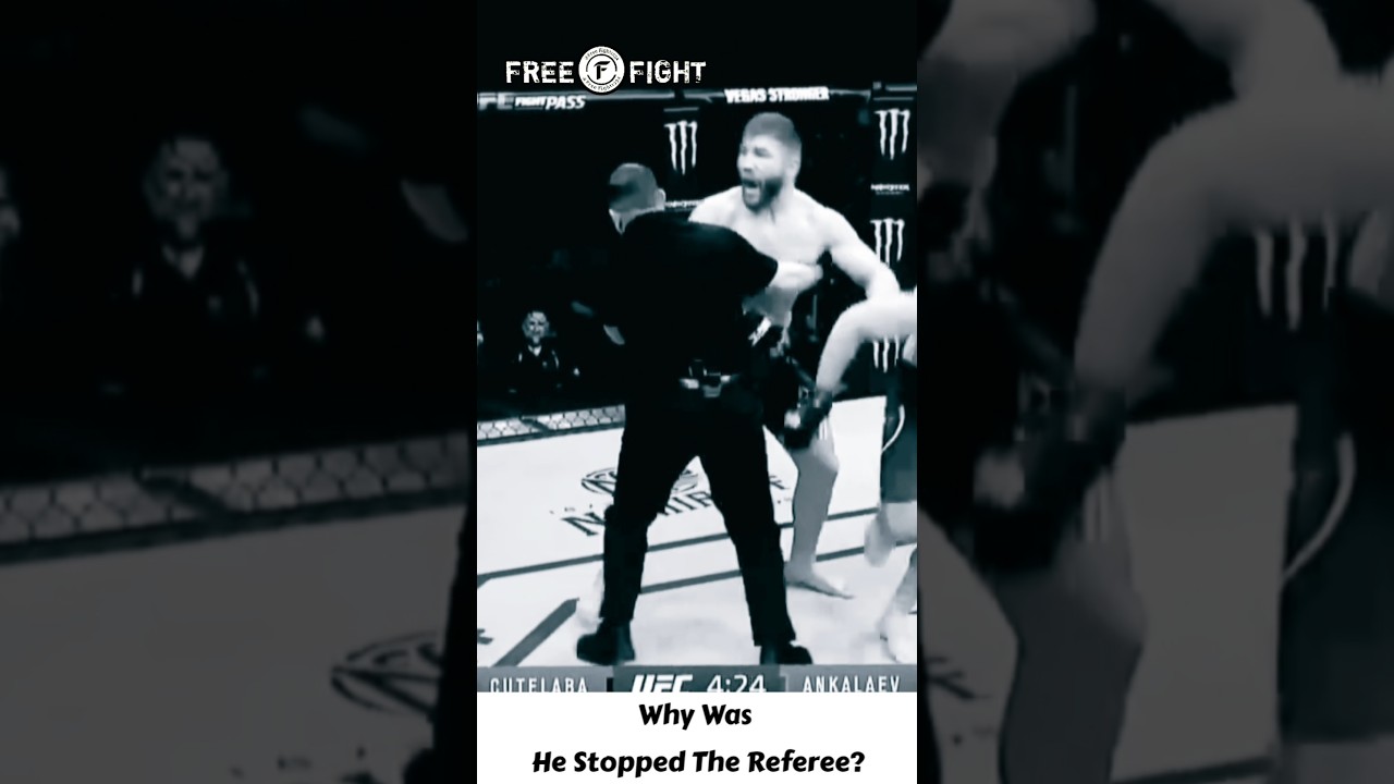 Почему рефери остановил его? 