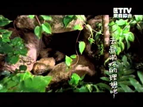 4452 益華股份 小紅莓果汁 原來你一直都在
