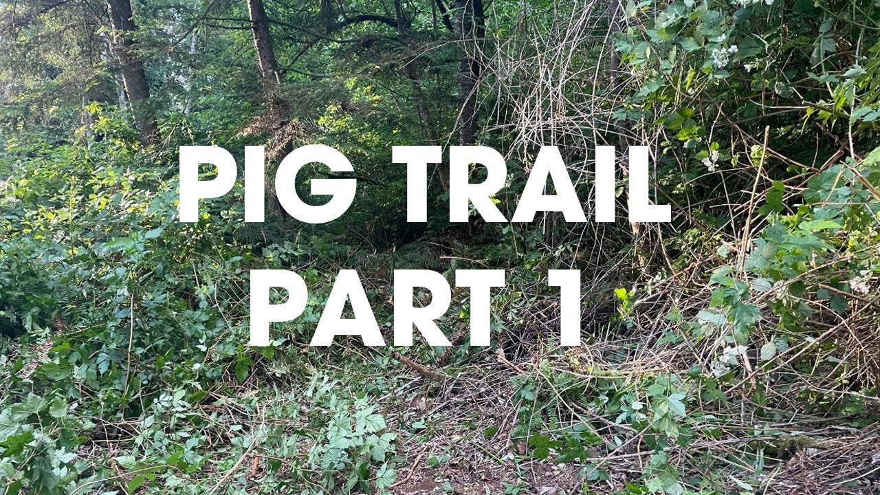 Clearing a trail to run the fence line for pigs. Removing enough brush ...