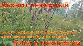 видео Стадии ДВС синдрома и их лечение