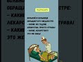 #смех#юмор #смешновидео #ржакадослез #шортс #jokes #humor #funnymoments