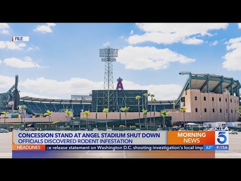 Part of Angel Stadium closed due to rodent infestation