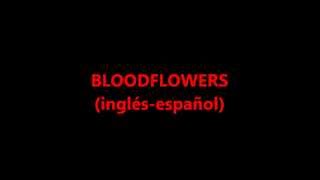 Bloodflowers - The Cure (letra ingles + subtítulos en español)