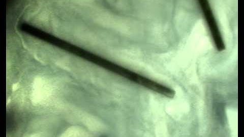 Liquid-liquid Flow in Mixing Vane Region of Annular Centrifugal Contactor (single vane 8V)