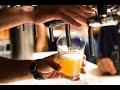 Capitulo 1: Curso de elaboración de Cerveza Artesanal (teoría) Gratis! - Introducción