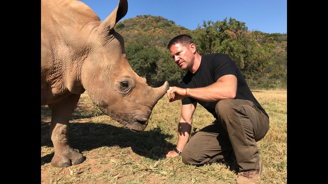 White rhino conservation