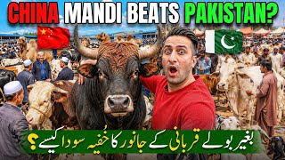 Is This Bakra Mandi Bigger Than Pakistan’s? — Inside China's Bakra Mandi 2026!