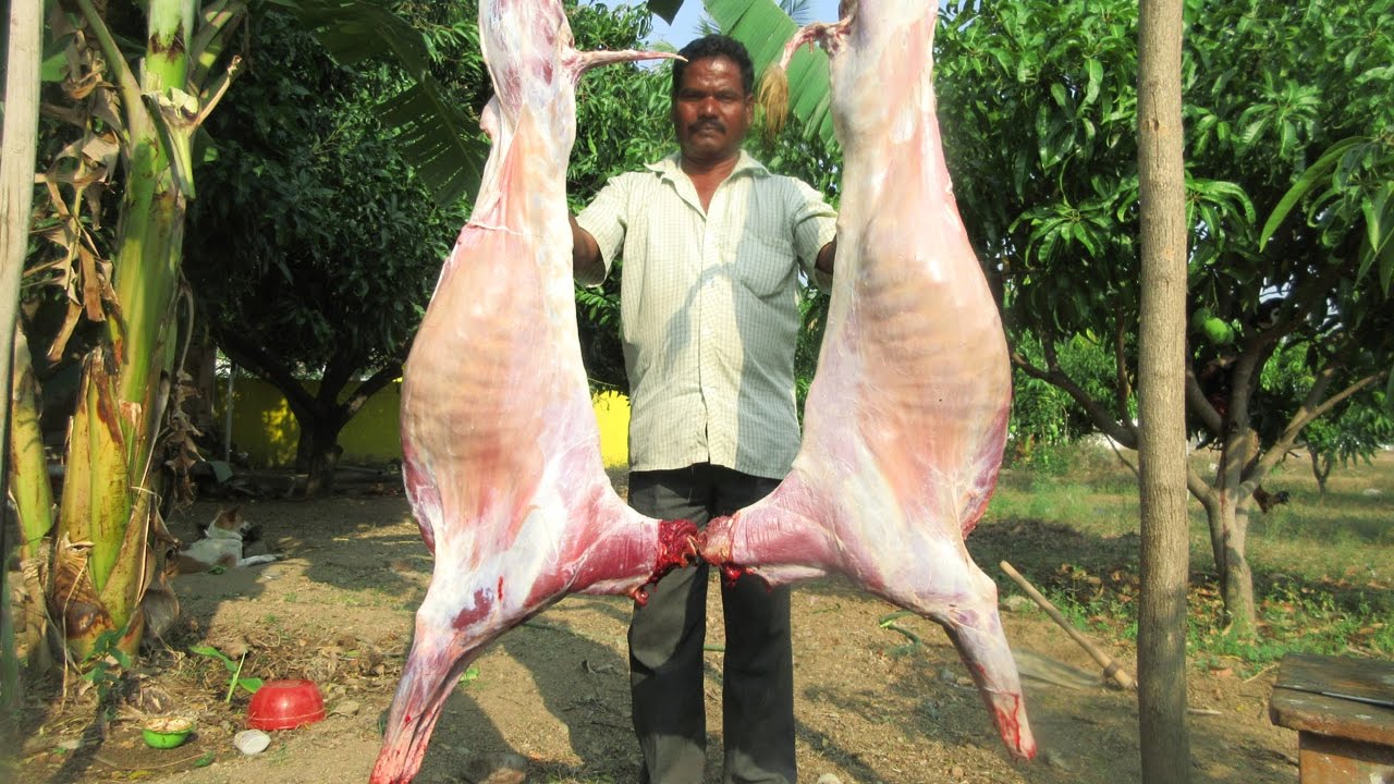 TWO BIG GOAT Cooking in My Village | Muslim Mutton Biryani Recipe | VILLAGE FOOD - YouTube