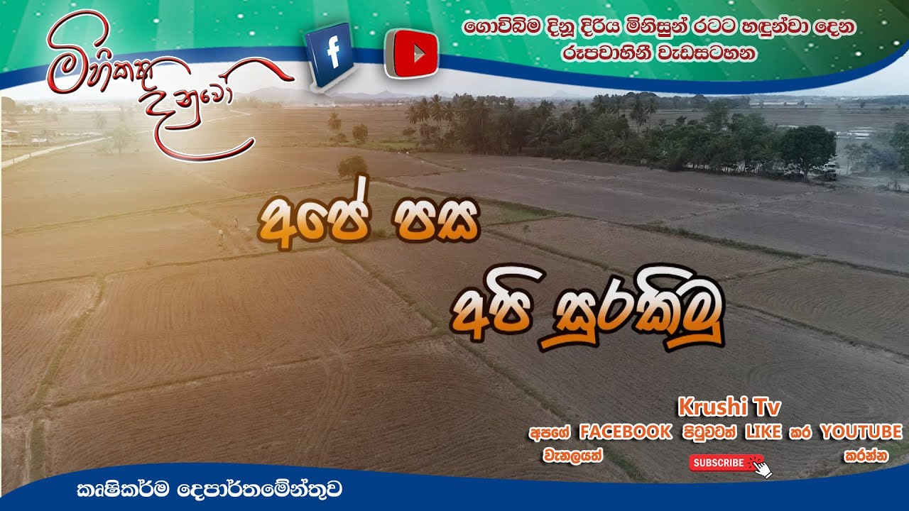 Mihikatha Dinuwo TV Program | අපේ පස අපි සුරකිමු | 2021-12-17 | Krushi Tv