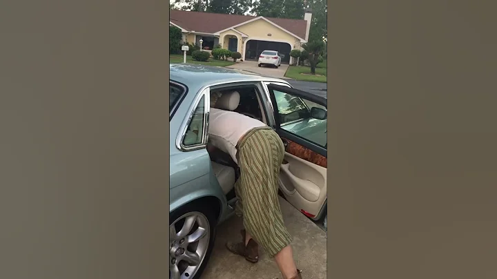 Royal Highness Cat escorted from the luxuries of an XJR Jaguar