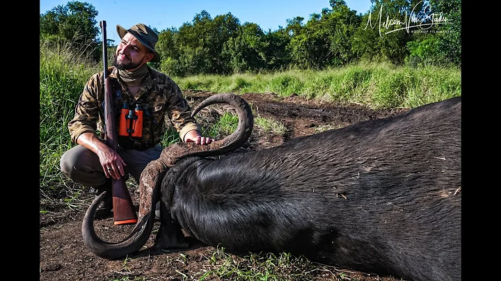 KwaZulu-Natal Cape buffalo hunt with Neo Safaris