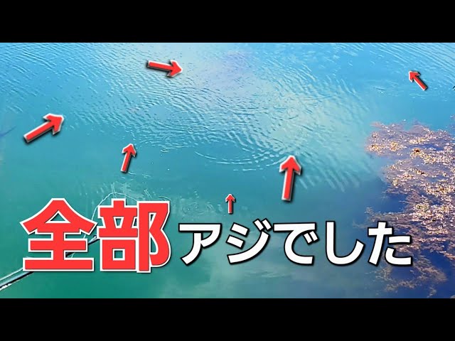 初夏アジング基礎。悩んだら狙うべきポイント！アンダー7センチ