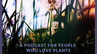EP27: Be Your Own Authority // A Forager’s Perspective // Robin Harford